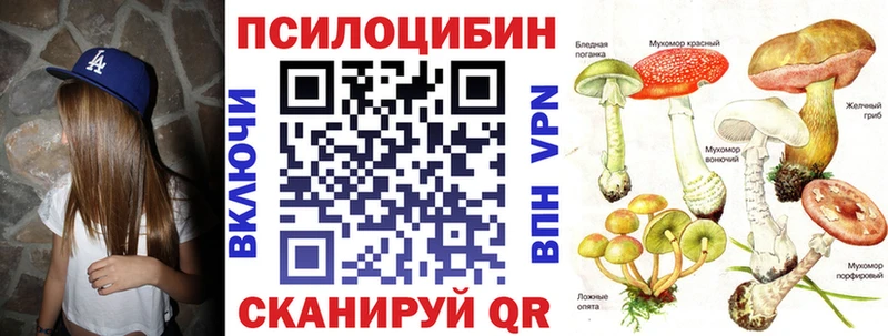 Купить закладки  Геленджик  Галлюциногенные грибы мицелий 